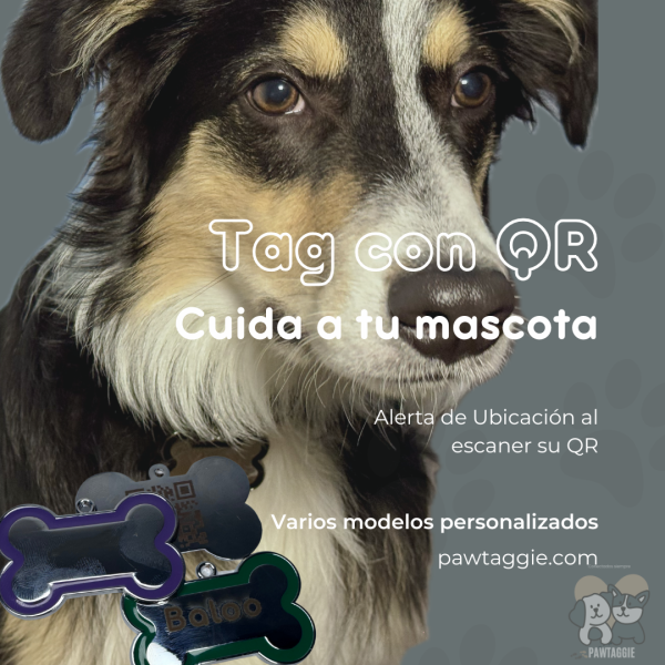 Tag para Perro Personalizable Mediano-Grande - Imagen 3