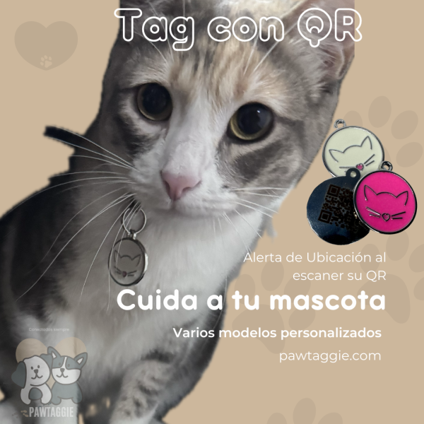 Tag para Gato con QR - Imagen 3
