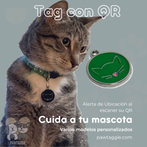 Tag para Gato con QR
