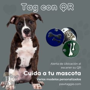 Tag para Perro Huesito con QR