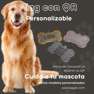 Tag para Perro Personalizable Mediano-Grande