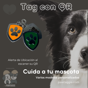 Tag para Perro Escudo  Mediano-Grande