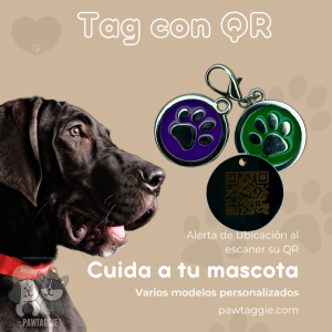 Tag para Perro Huellita con QR