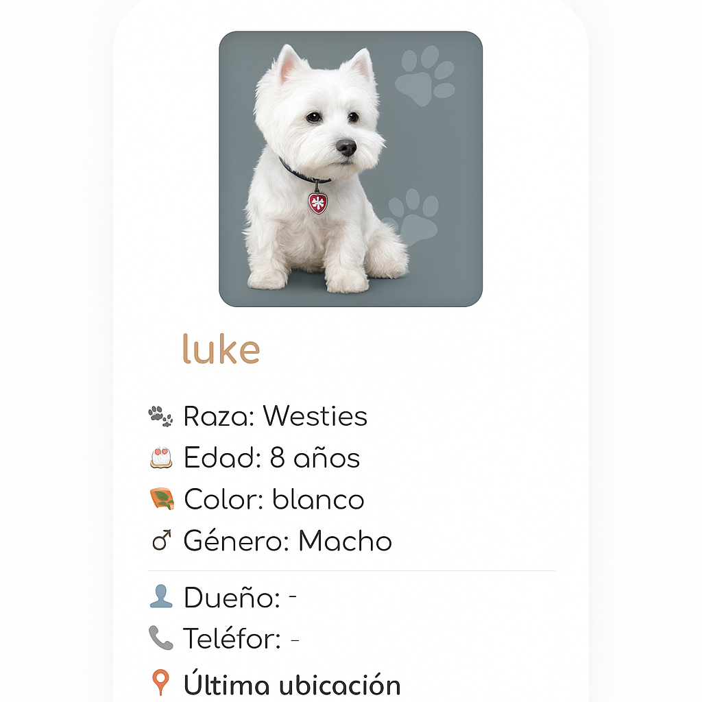 Activación en la app